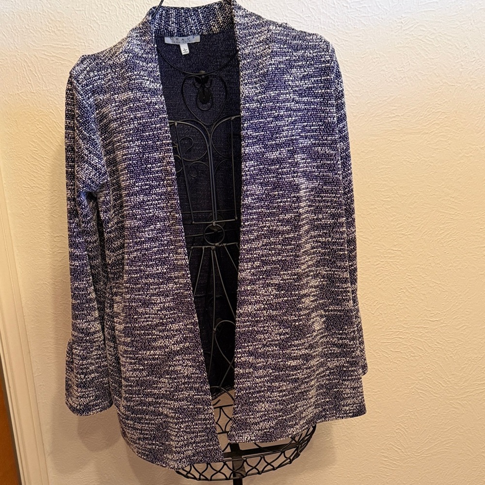 ☔️☔️☔️BOGO☔️☔️☔️Chaus Blue and White Sweater-Large